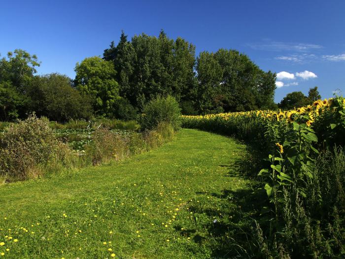 Cherry Lodge, Newton Abbot