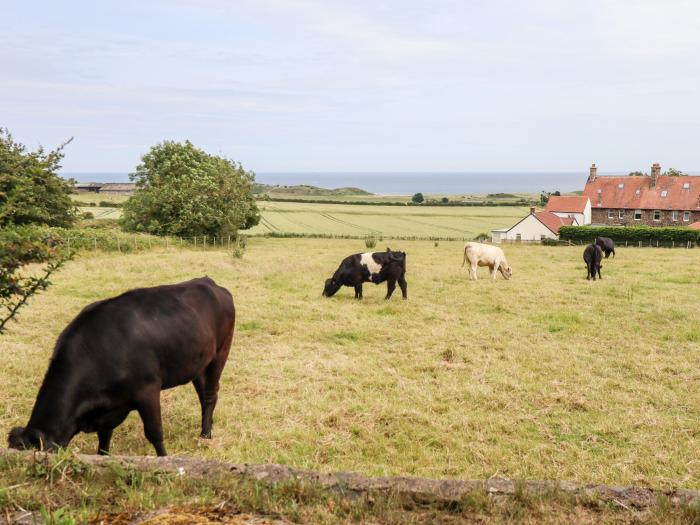 Links View, Embleton