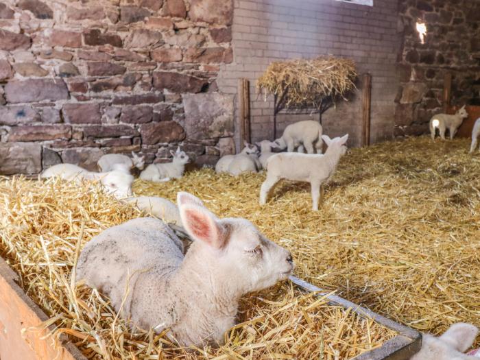 How Hill Farm Cottage in Greystoke in Cumbria. Near Lake District National Park. 2 bedroom cottage.