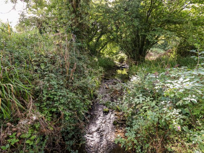 Dairy Cottage nr Abbotsbury, Dorset. Three-bedroom, thatched cottage with rural views. Pet-friendly.