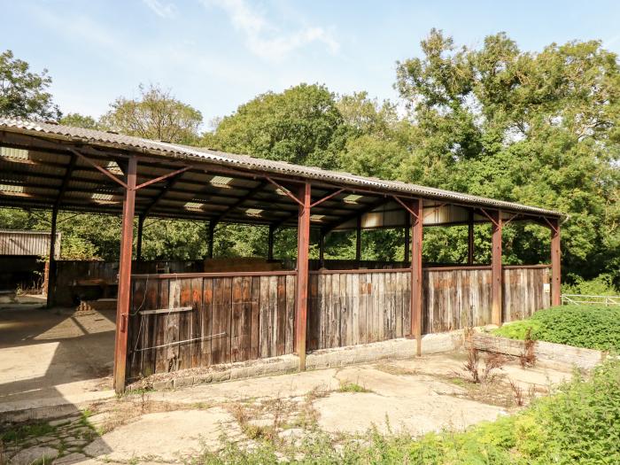 Dairy Cottage nr Abbotsbury, Dorset. Three-bedroom, thatched cottage with rural views. Pet-friendly.