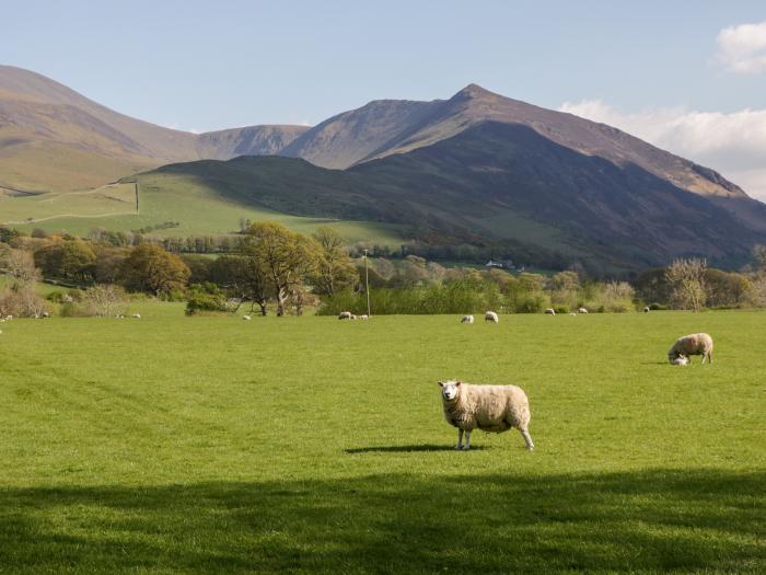 Nordene, Great Broughton, Cockermouth