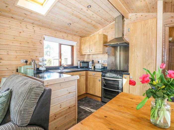 Pinecone Cabin, Godshill, Hampshire