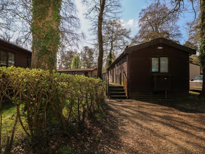 Pinecone Cabin, Godshill, Hampshire