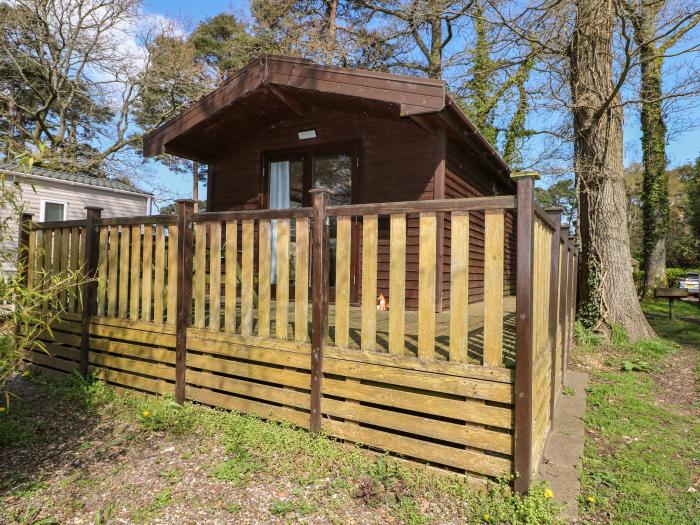 Pinecone Cabin, Godshill, Hampshire