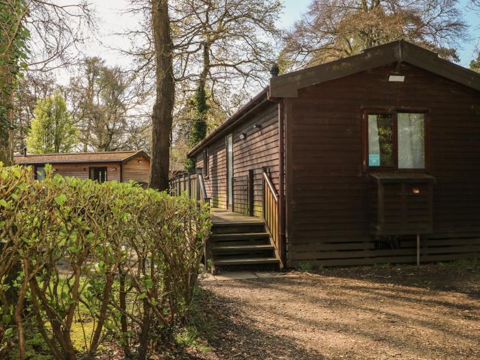 Pinecone Cabin, Godshill, Hampshire