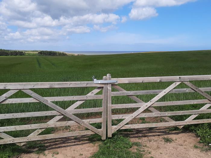 Timbers, Weybourne