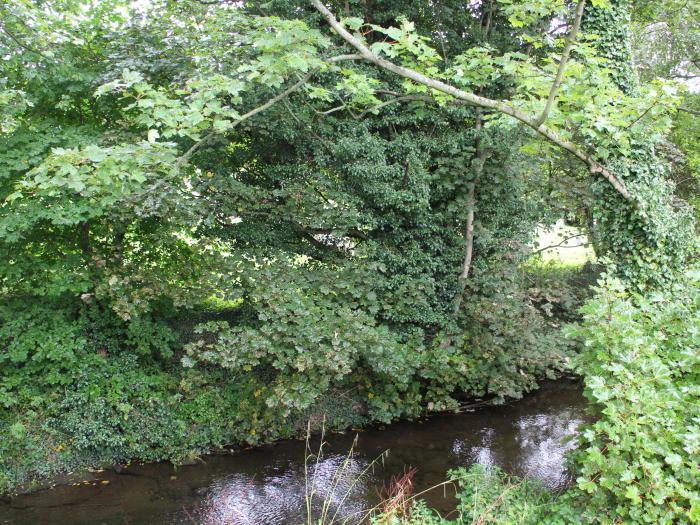 Badgers Sett, Belford