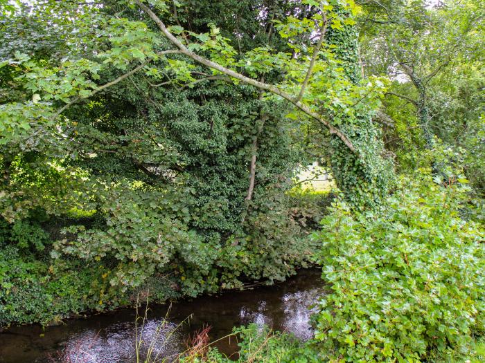 Badgers Sett, Belford