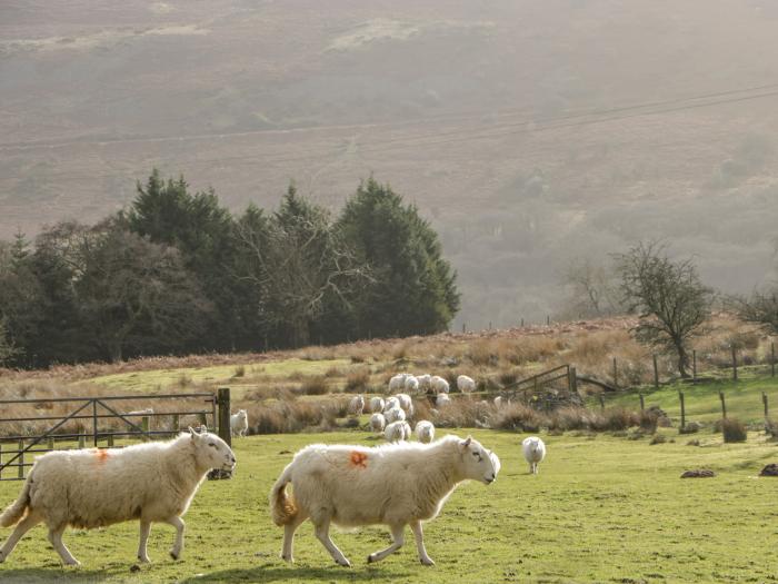 Pen-Croeslan Bach, Crickhowell