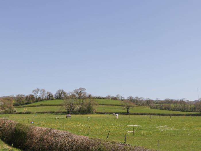 The Attic at Redmond Bottom, Wookey