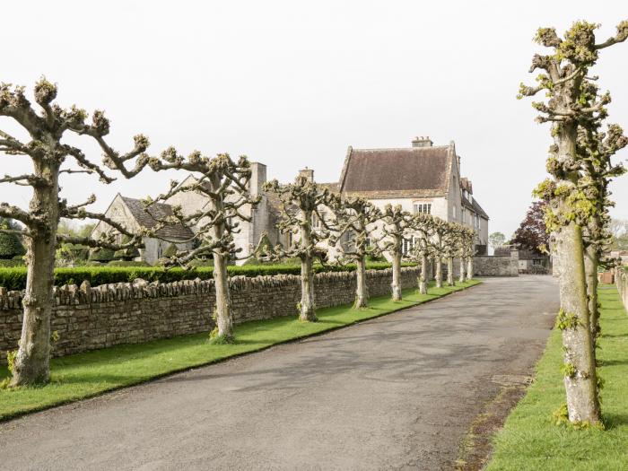 Orchard End, Glastonbury