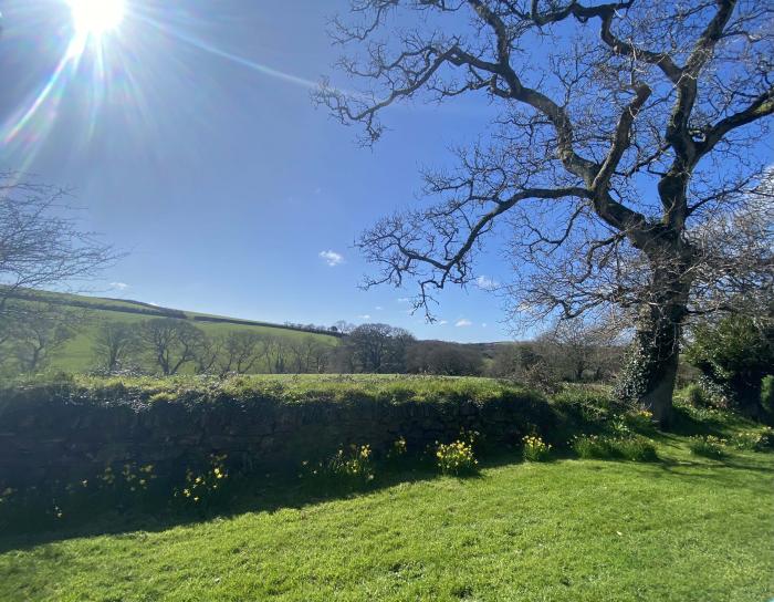 Meadow View, Grampound