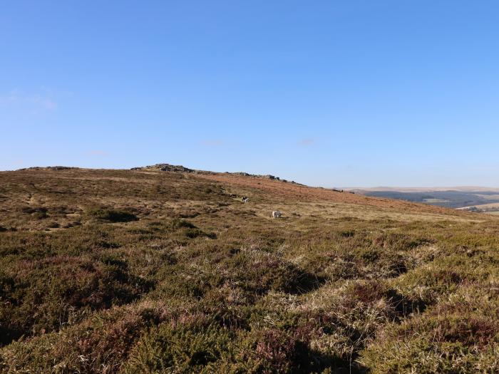 Beckaford View, Ilsington