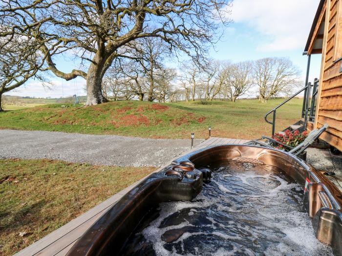 Wild Acre, Llandovery, Open-Plan, Hot Tub, Smart TV, Countryside Views, Brecon Beacons National Park