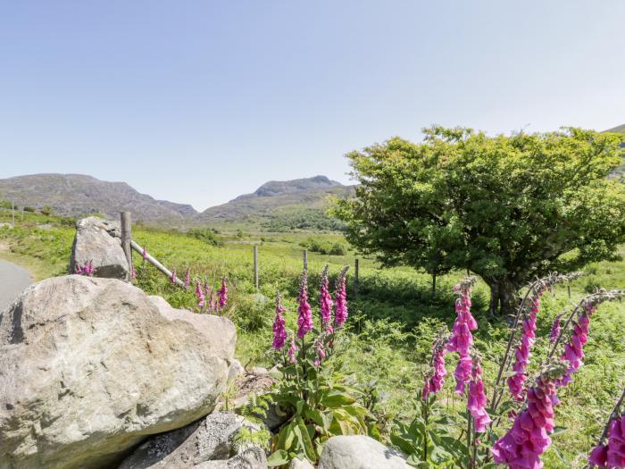 Rhinog - Shepherds Hut in Dyffryn Ardudwy, North Wales, woodburning stove, wood-fired hot tub, WiFi.