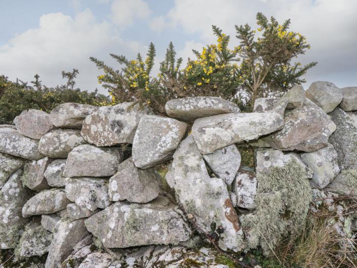 Barbara's Cottage, Lettermore, County Galway