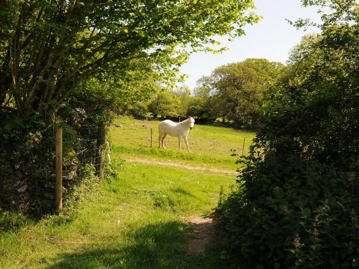 Mill House, in Lostwithiel near Pelynt, Cornwall, off-road parking, pet-friendly, on a working farm.