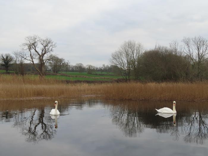 Shannon Vale, Woodford, County Galway