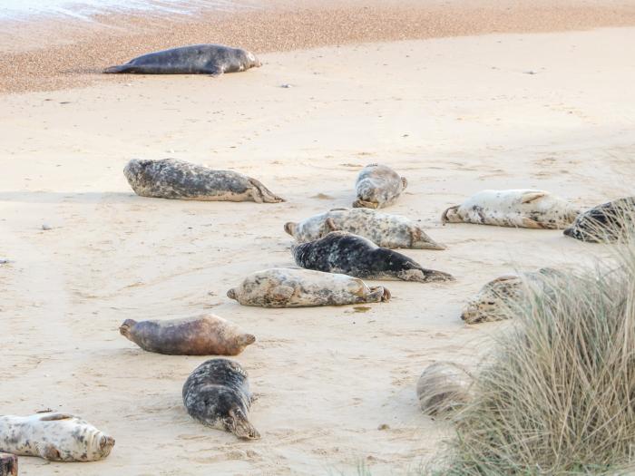 154, Winterton-On-Sea, Norfolk, East Anglia. Pet-friendly, off-road parking, close to a beach, shop.