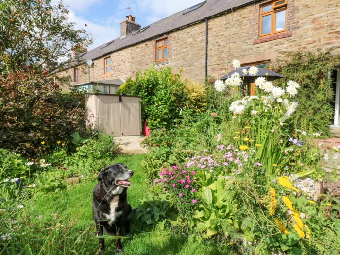 3 Tindale Terrace, Hallbankgate, Cumbria, in AONB, pet-friendly, rural, traditional, enclosed garden