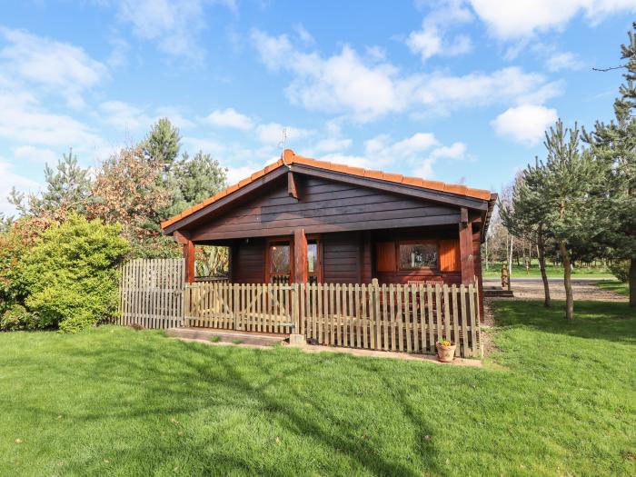 Little Owl Lodge, Bardney, open-plan, pet-friendly, hot tub, enclosed decking, wooded forest setting