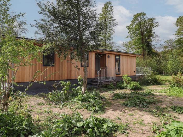 Blackthorn Copse near Haverthwaite Cumbria, single-storey, pet-friendly, on-site parking, 2bed