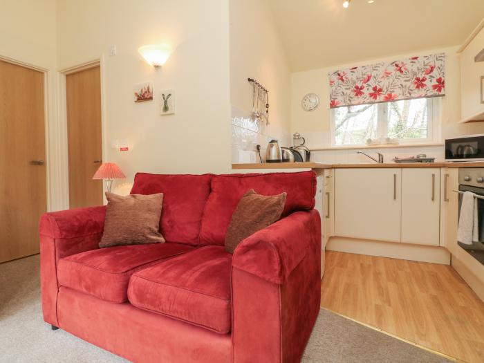 Chalet Log Cabin C8, Combe Martin. National Park, family-friendly, pet-free, open-plan, AONB, WiFi.