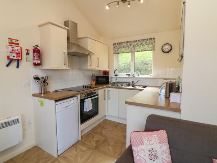 Chalet Log Cabin L12, Combe Martin. Dog-friendly, decking, open-plan living space and close to beach