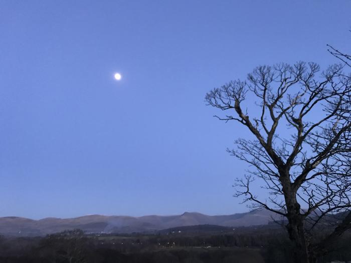 The Triangle, Bangor, Gwynedd, North Wales, A quirky holiday lodge resting in beautiful countryside.