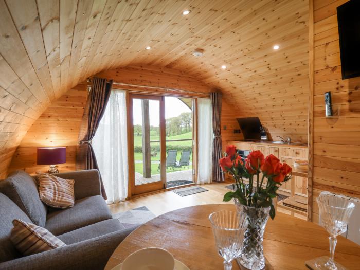 Pine Lodge, Llanddessant near Llandovery, Mid Wales, dog-free, hot tub, romantic, couples, 1bedroom.