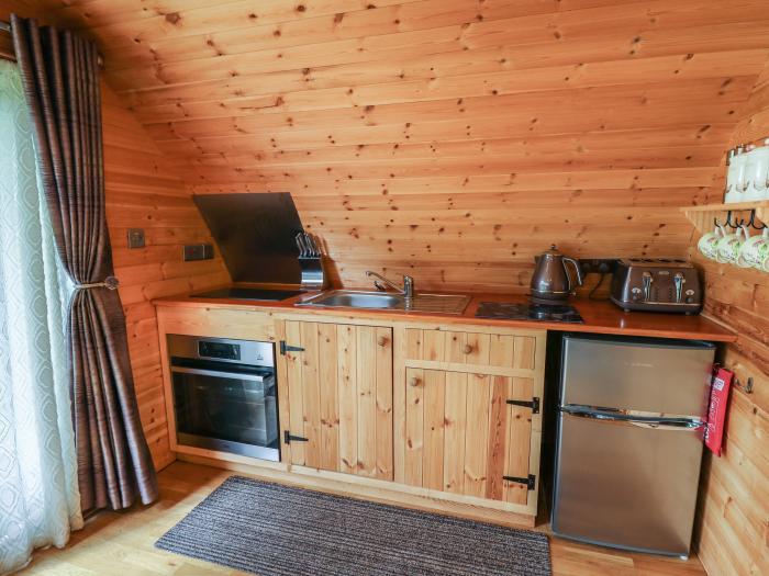 Pine Lodge, Llanddessant near Llandovery, Mid Wales, dog-free, hot tub, romantic, couples, 1bedroom.