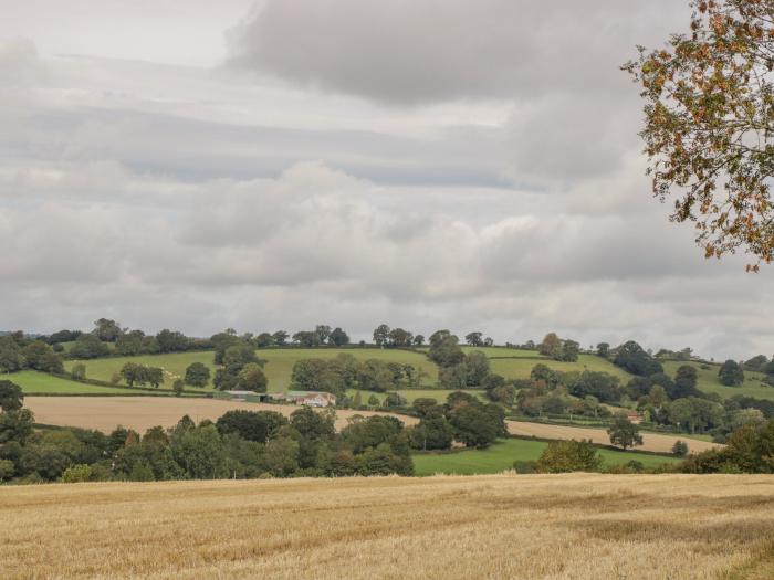 Heathfield, Milverton, Somerset, family and pet-friendly, countryside views, large, near AONB, 3bed,