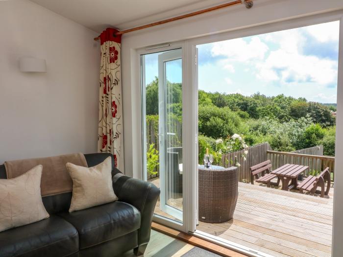 Poppy Cottage, Blackawton, Devon. Woodburning stove. Pet-friendly. Family-friendly. Private parking.