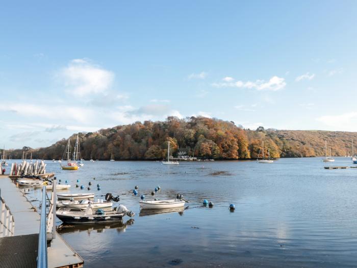 Lower Mill is in Dittisham, Devon, shop nearby, designated parking, pet-friendly, woodburning stoves