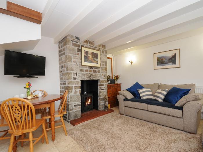 Small Barn near Upton Cross Cornwall, woodburning stove, dog-friendly, countryside views and parking