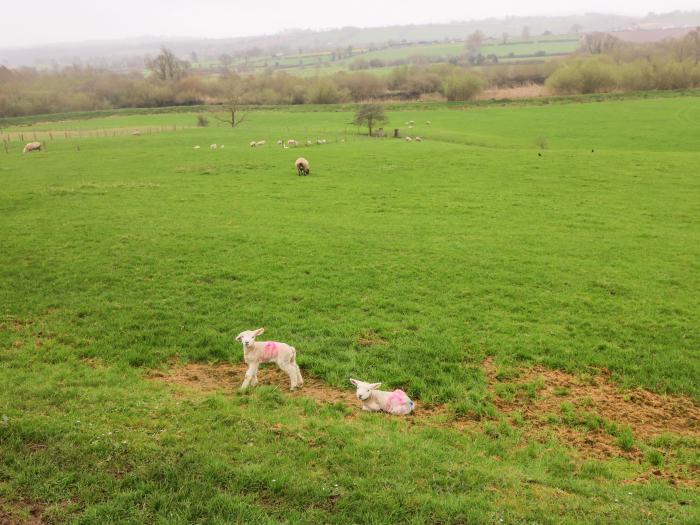 The Bride Valley Farmhouse, Tallow, County Waterford, Ireland, countryside views, off-road parking.