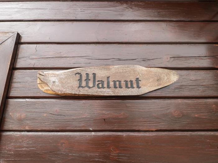 Walnut, Swanage