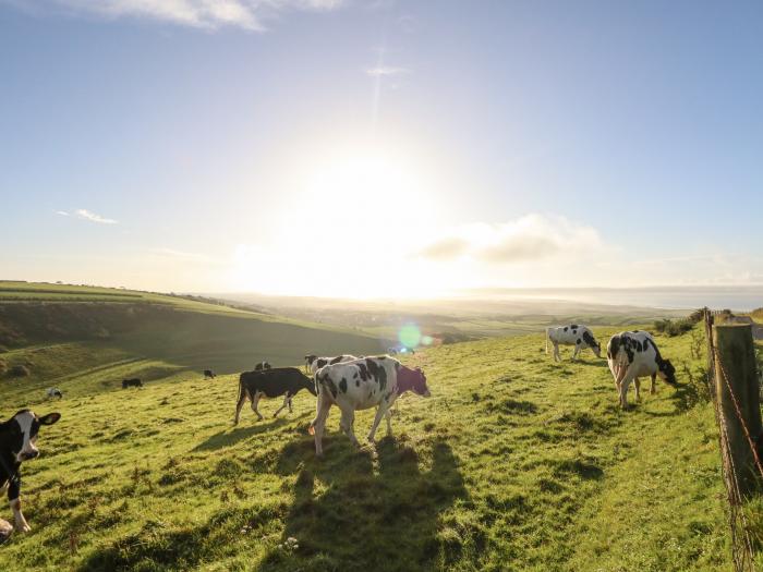 Eweleaze, West Bexington, Dorset, Close to a beach, Close to amenities, Sea views, Open-plan, Garden