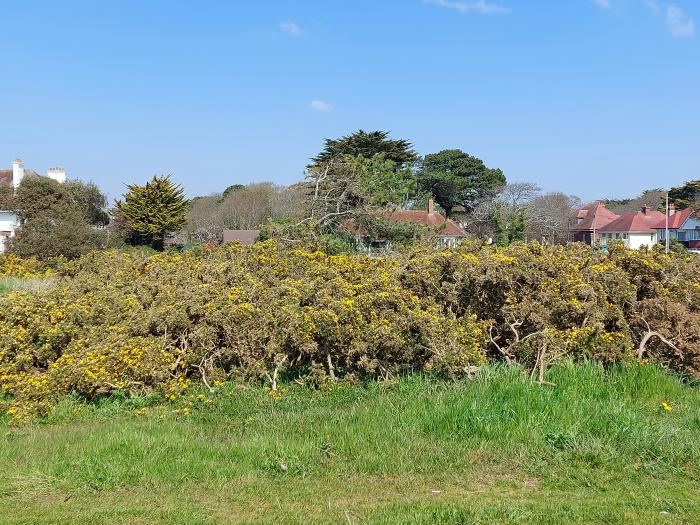 Bijou Residence, Bournemouth, Dorset. Close to shop and beach, off-road parking, near National Park.