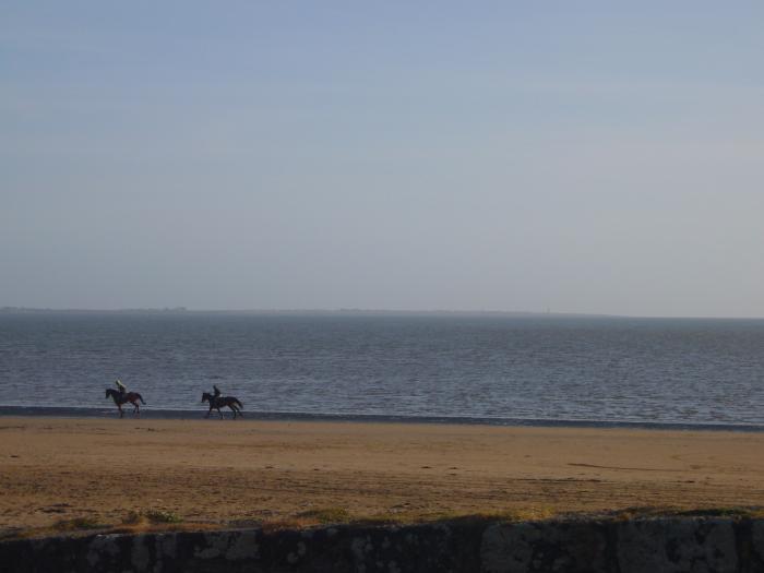 South Beach, Duncannon, County Wexford. Smart TV. Woodburning stove. Enclosed garden. Close to beach