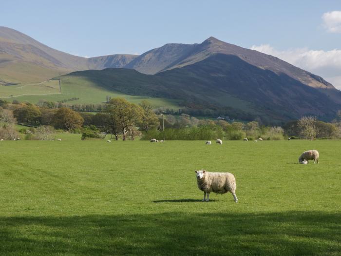 Beech Timber Lodge is in Keswick, Cumbria, off-road parking, in a National Park, pet-friendly, 2bed.