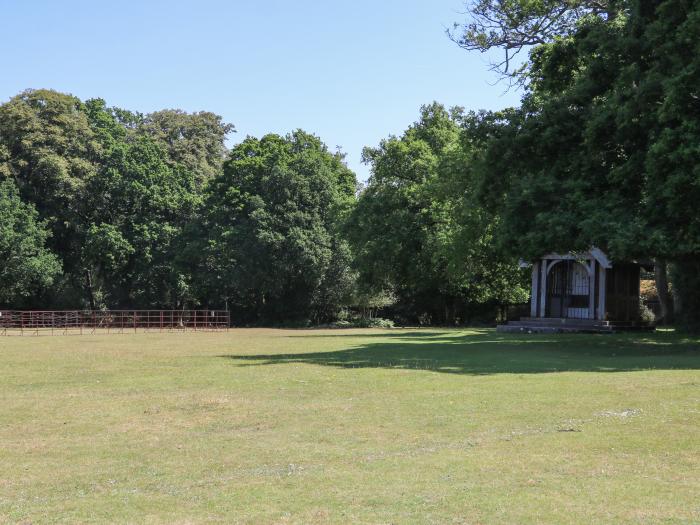 Foxes Earth, Nomansland, Wiltshire. In New Forest National Park. Two-bed holiday home. Pet-friendly.