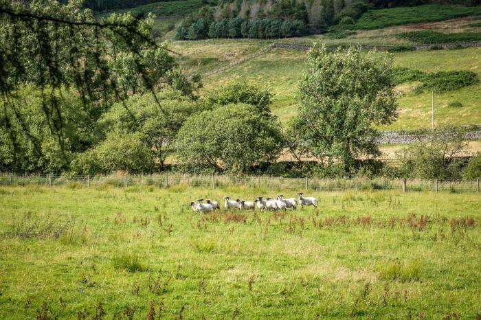 Kilnmark Bothy is near Moniaive, in Dumfries and Galloway. Three-bedroom cottage with stunning views