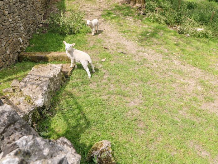 Clover Cottage at Pikehall, Winster