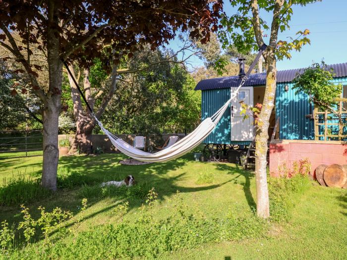 Shepherds Hut @ The Holies, Woodbridge