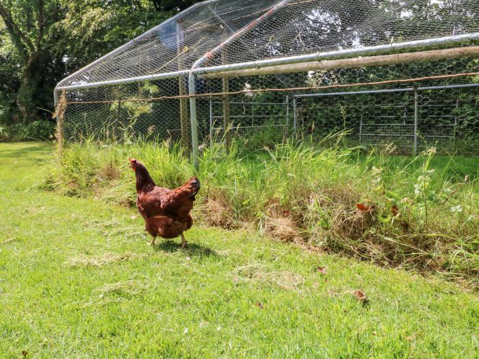 The Old Forge Cottage, Kilkhampton, Cornwall. Smart TV. Off-road parking. Close to amenities. Garden