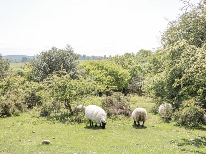 Watermead Lodge in Stogumber, Somerset. Electric fire. Pet-friendly. Two bedrooms. Walking location.