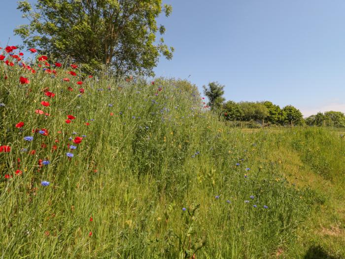 Watermead Lodge in Stogumber, Somerset. Electric fire. Pet-friendly. Two bedrooms. Walking location.