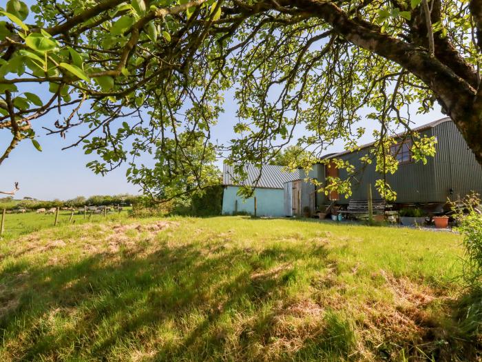 Puddle Duck Shepherds Hut, Crackington Haven